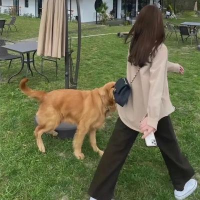恶灵再临